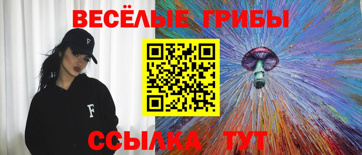 Рязань  Галлюциногенные грибы MAGIC MUSHROOMS  Вход с VPN 