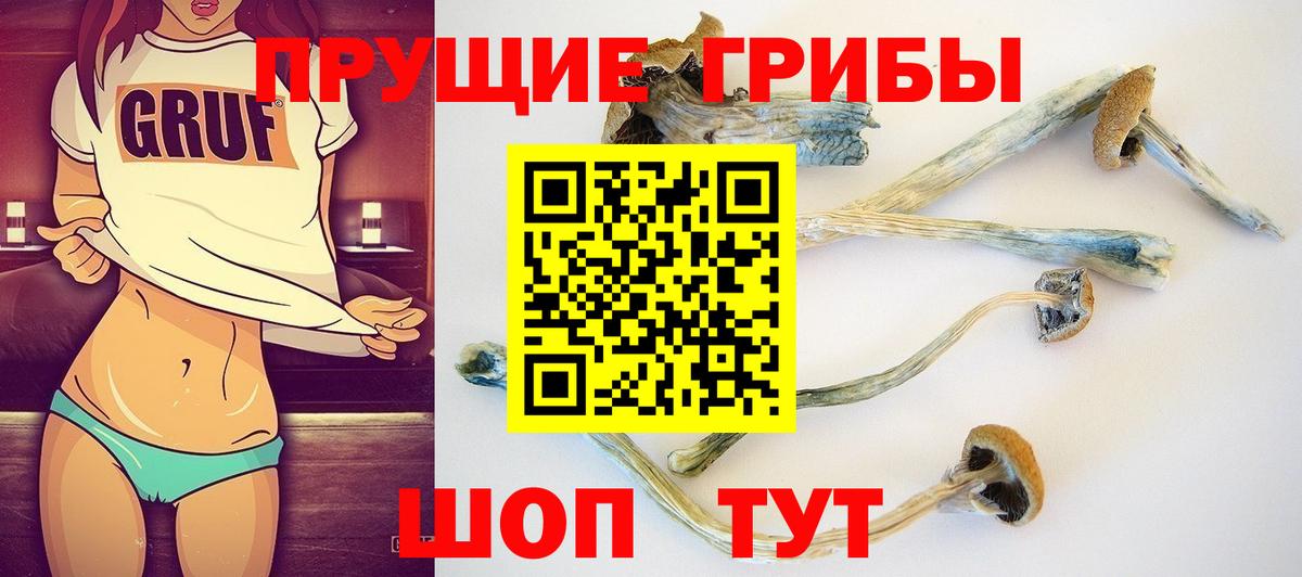Галлюциногенные грибы GOLDEN TEACHER Рязань